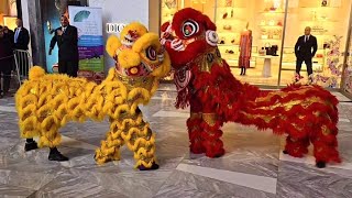 Traditional Lion Dance 🐉 Chinese New Year 🐲 Lunar New Year [upl. by Lehcyar]