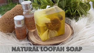 DIY Natural Loofah Soap [upl. by Annail]