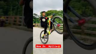 🤯How To Wyllie🔥viralvideo cycle cyclestunt stunt shorts cycling bike 🚴‍♀️ [upl. by Bittencourt693]