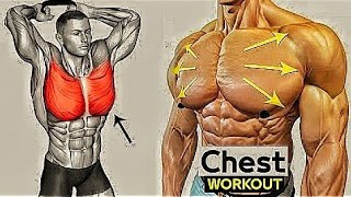 Build Your Chest Muscle Growth Workout Routine [upl. by Kier475]