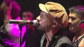 Shantel amp The Bucovina Club Orkestar Live  Disko Boy  Sziget 2012 [upl. by Airaet]