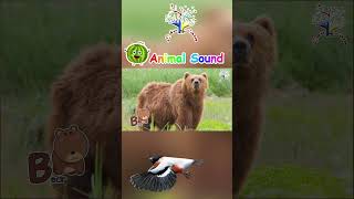 The Animal Alphabet  Animals Sound AZ  AZ The Animal Sound Nursery Rhymes and Kids Song  EduFam [upl. by Tarazi195]