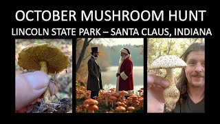 OCTOBER MUSHROOM HUNT Lincoln State Park  Santa Claus Indiana [upl. by Rawley78]