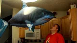 My Air Shark  Jenks  Air Swimmer [upl. by Jacquelyn]