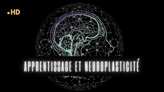 Apprentissage et Neuroplasticité  Résilience mentale [upl. by Frere391]