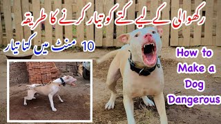 Dog Ko Aggrasive kesay karaye  Sirf 10 mints ki trainging  Simple and easy punjabishok4499 [upl. by Anoyek488]