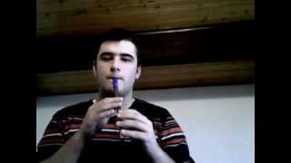 Fairytale of NewYork tin whistle cover [upl. by Yvad445]