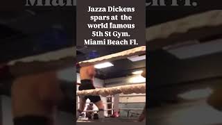 Jazza Spars at 5th St Gym Miami Boxing [upl. by Enelehcim]