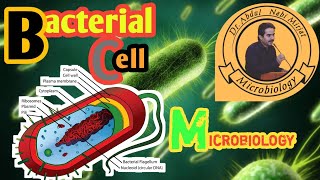 General MicrobiologyLecture03Bacterial Cell [upl. by Holleran]