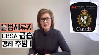 캐나다 CBSA 노동자 추방 시작불법체류 단속 대폭 강화안전하지 않다 [upl. by Eelsnia993]