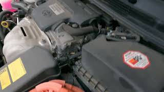 Toyota Avalon Hybrid Engine Air Filter Replacement [upl. by Cherri335]