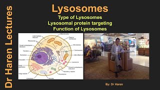 LysosomesTypes Lysosomal protein targeting and Function of lysosomes [upl. by Itsirc]