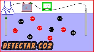 Detectar CO2 Soplando en el Agua Aumenta su Conductividad Eléctrica [upl. by Vanni]