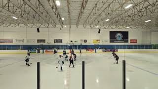 Portland Jr Winterhawks 12U Travel Black vs Richmond Jets [upl. by Silirama]