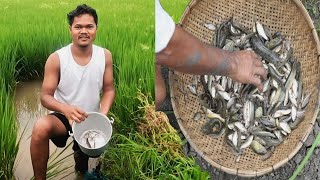 Village Fish Catching  Village मे मछली पकड़े  village life style  Ksingh Bro [upl. by Panayiotis]