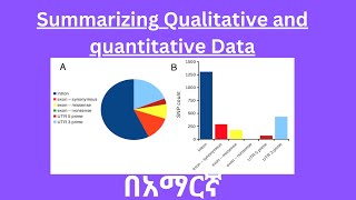 Summarizing qualitative and quantitative data  Basic Statistics  Business Statistic [upl. by Browning]