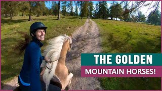 Equestrian Rides the Haflinger in South Tyrol [upl. by Nomyt]