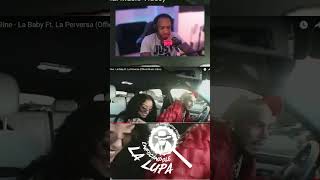 VIDEO REACTION  6ix9ine  La Baby Ft La Perversa  Music Video INVESTIGACION MUSICAL [upl. by Anibur617]