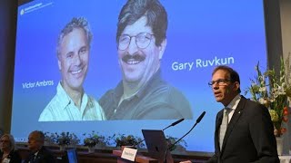 Nobel Prize 2024 Victor Ambros amp Gary Ruvkuns Groundbreaking Discovery [upl. by Melone360]