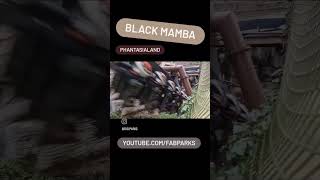 Black Mamba  Phantasialand [upl. by Siugram]