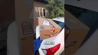 Amazon me mandó esto😳MiniVlog [upl. by Yllut]