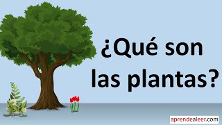 Que son las plantas para niños  diferencia entre plantas y animales [upl. by Nicolette216]