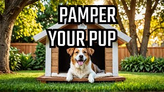 Whats Holding You Back from Giving Your Dog the BEST [upl. by Llednohs]