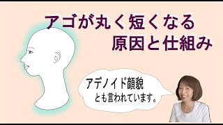 アゴが丸く短くなる原因と仕組み（アデノイド顔貌） [upl. by Lexi]