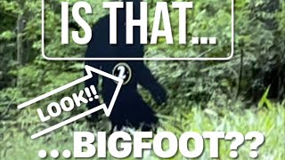 PART 2 of the BIGFOOT festival and HUNT [upl. by Cormack]