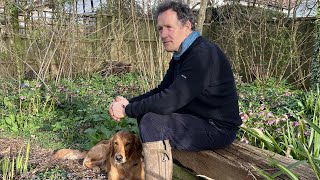 BBC Gardeners Worlds Monty Don divides fans with crazy election celebration [upl. by Orsini343]