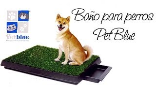 Baños para perros Pet Blue  Unicaspe [upl. by Nerval]