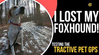 Lets test a dog GPS  Using the Tractive in real life [upl. by Lanae]