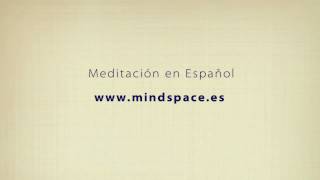 Meditación en Español en 20 Minutos [upl. by Theurich775]