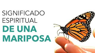 Significado espiritual de una MARIPOSA 🦋✨ [upl. by Eirlav]