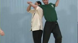 Advanced Practical Chin Na by Dr Yang JwingMing [upl. by Eul124]