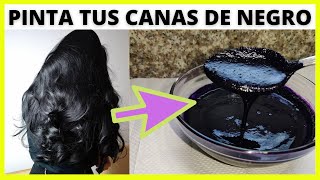 TINTE Negro CASERO para que PINTES Tus CANAS y es Totalmente NATURAL [upl. by Behre113]