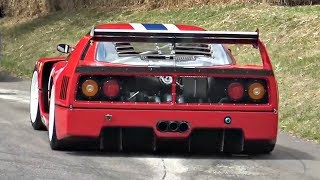 Ferrari F40 LM Massive POWER LAUNCH amp Sounds  Goodwood [upl. by Niloc240]