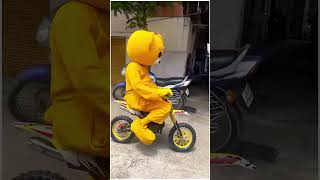 Teddy bear ka mini bike race funny 🤣 comedyshort video😂viralvideo [upl. by Dielle]