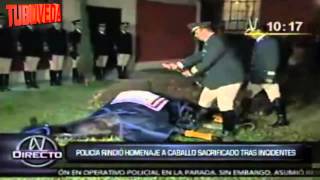 Muerte y homenaje a caballo de la Policía Montada [upl. by Ahmed]