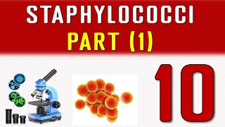 LECTURE 10  Staphylococci  Part 1 [upl. by Glover763]