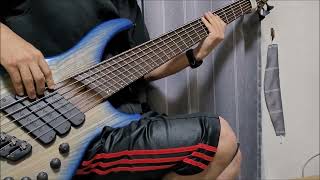 Archspire  Human Murmuration Bass Cover [upl. by Cassiani91]