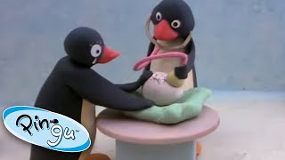 Pinga is Born  Pingu Official  1 Hour  Cartoons for Kids [upl. by Hollyanne401]