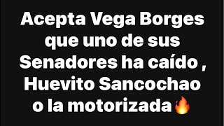 Acepta Vega Borges que uno de sus Senadores ha caído y niegan contar votos [upl. by Sirenay932]