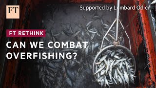 Is it possible to sustainably satisfy the worlds hunger for fish  FT Rethink [upl. by Moya237]