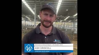 30 October AWN Livestock amp Property Wimmera Market Report with Ash Driscoll – Livestock Sales Agent [upl. by Nemraciram]