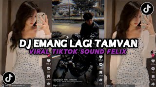 DJ SUNGGUH KETAMPANAN INI BENARquot MENYIKSAKU  RPH amp DJ DONAL  LAGI TAMVAN [upl. by Fital]