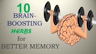 10 BrainBoosting Herbs for Better Memory  Nature Care 2017 [upl. by Etoile56]