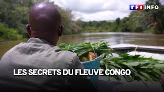 À la découverte des secrets du fleuve Congo [upl. by Canning]