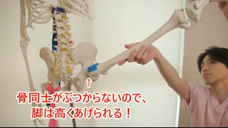 ドゥバンに上げた脚がインに入る【How to Improve Ballet Developpe】 [upl. by Bandur60]