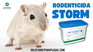 Rodenticida Raticida Veneno para ratas STORM soluciones para plagas 2023 [upl. by Bonina443]